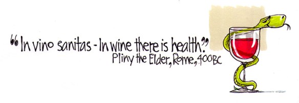 Pliny The Elder