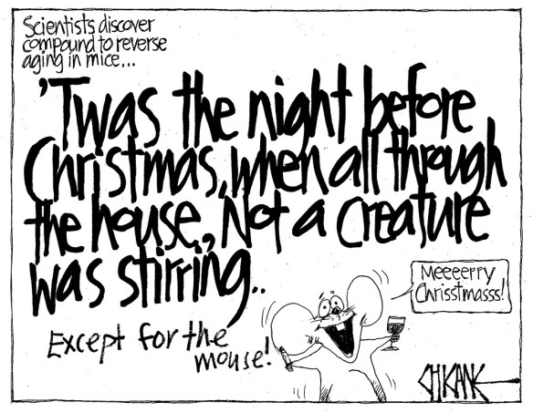 merry christmouse blog