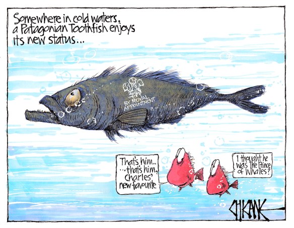 Patagonian Toothfish 2