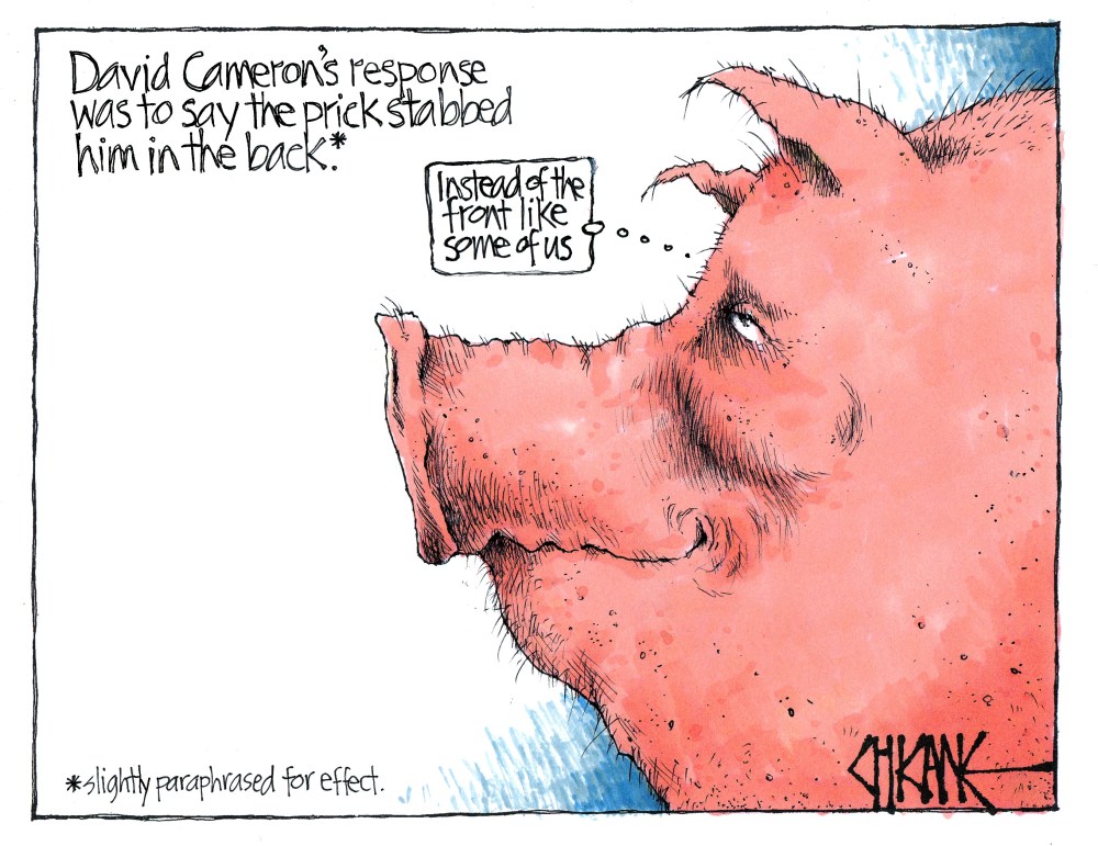 boar cameron