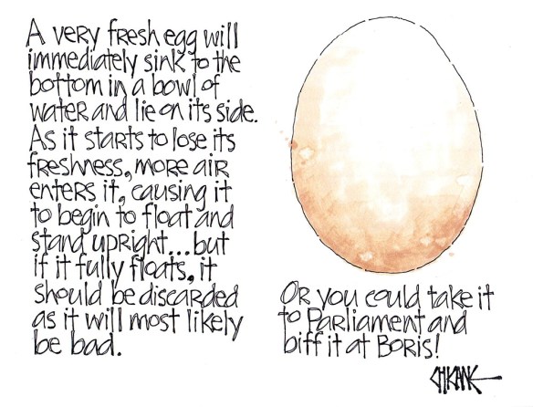 Brexit Cartoon Bad Egg